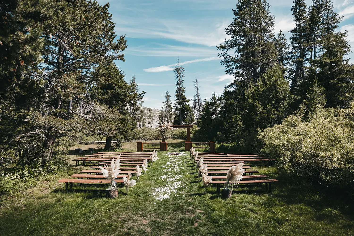 The new timber arbor at the head of the meadow, log benches and a petal aisle.