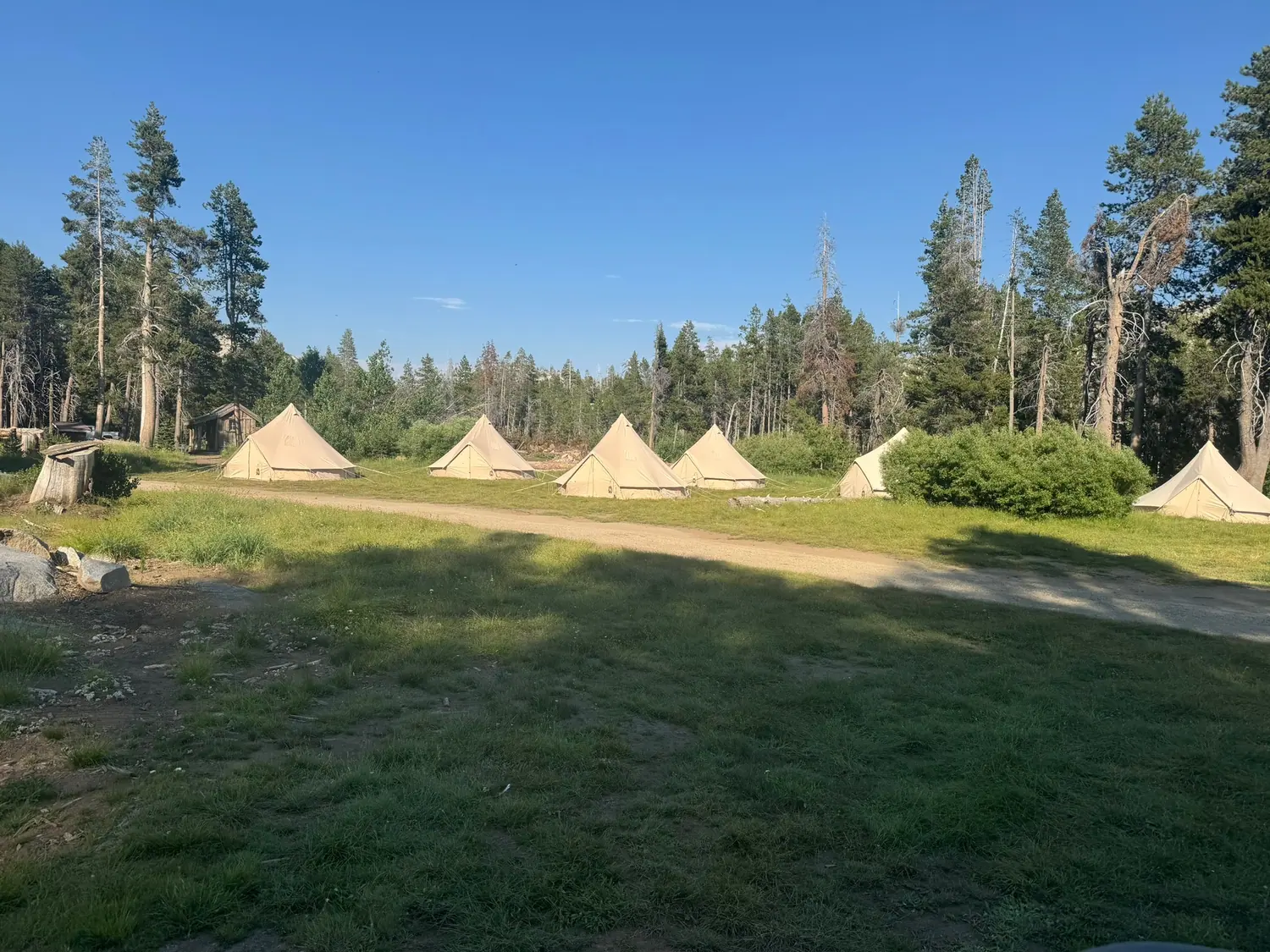 The Camp