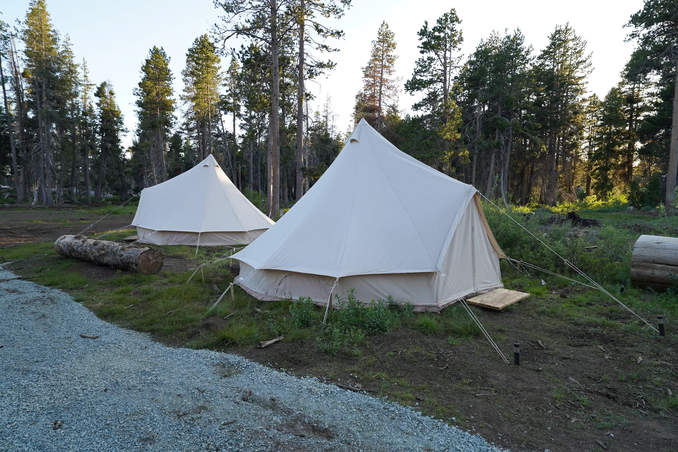 The Camp