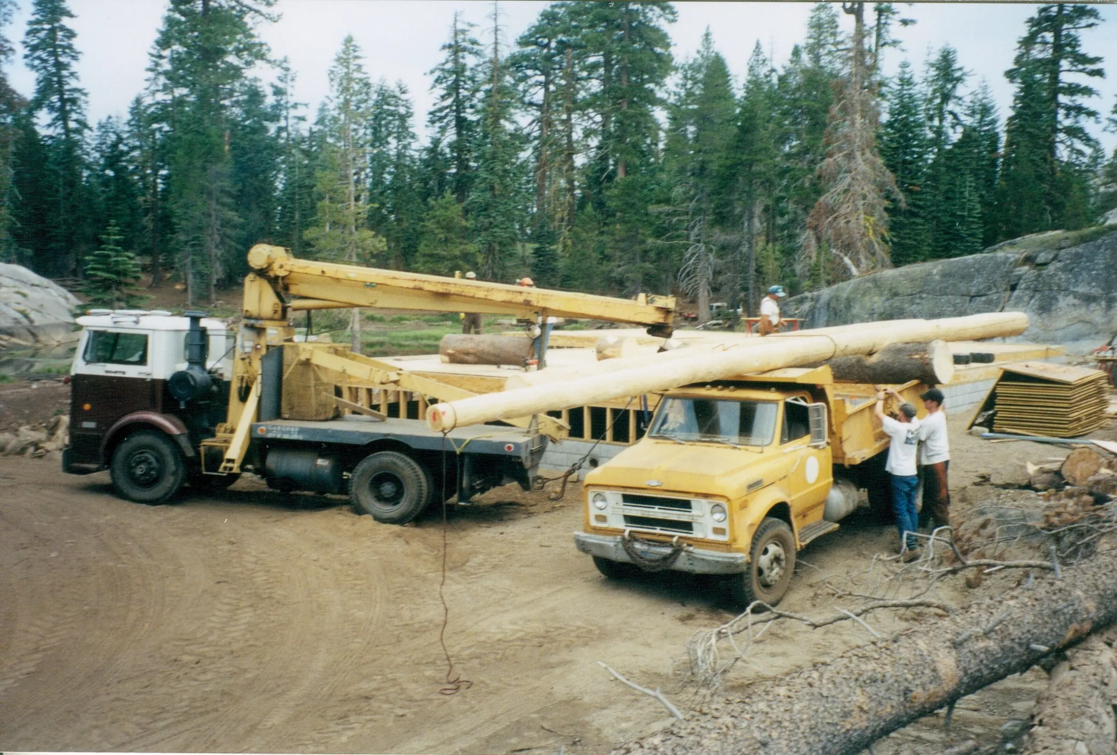 They cut it out of the trees that were already here