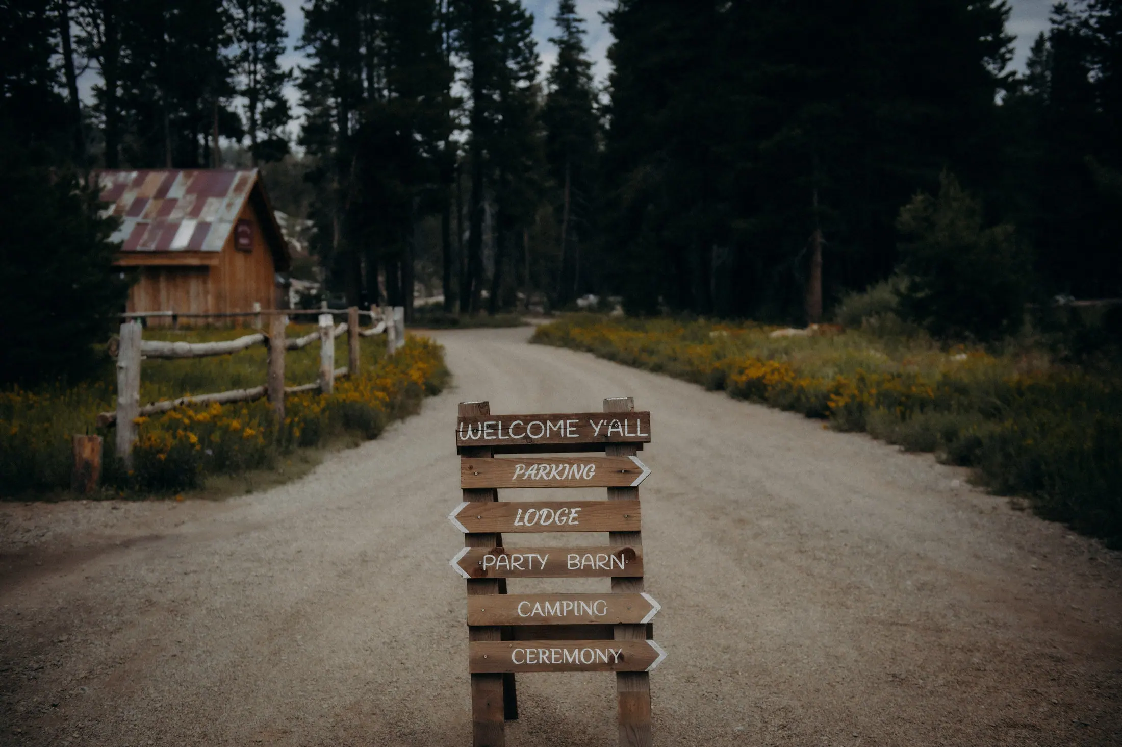 The Road In