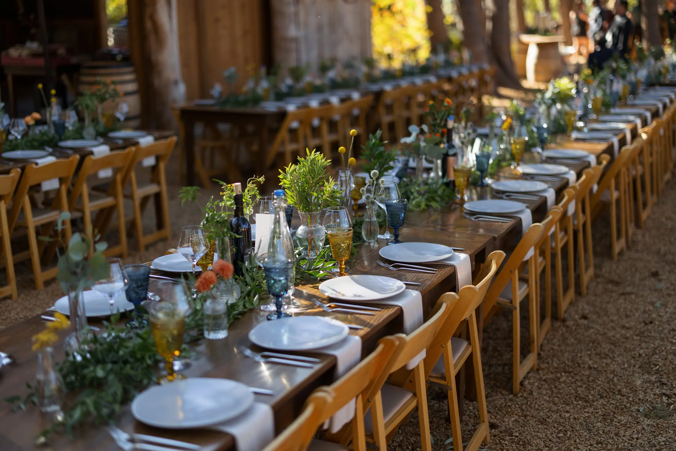 Long tables laid under the pines on the reception ground.